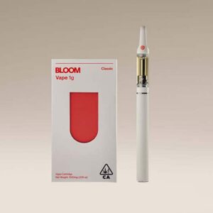 Rainbow Z 1g Surf All-in-one