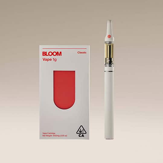 Rainbow Z 1g Surf All-in-one